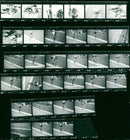 FILM SINGLE TRIAL WERNER MALITZ WRINKLES KLAUS GRUNKE WARM EDUARD - Vintage Photograph