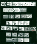 KODAK TRI PAN FILM YOZ SAFETY ODAK - Vintage Photograph