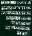 SATC PRICES TRIA KOUAK KODAN TRIPAN KODAK TRI PAN FILM RODAR - Vintage Photograph