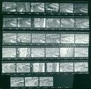 SATC PRICES TRIA KOUAK KODAN TRIPAN KODAK TRI PAN FILM RODAR SAFETY - Vintage Photograph