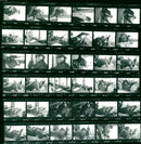 SATC PRICES TRIA KOUAK KODAN TRIPAN KODAK TRI PAN FILM RODAR SAFETY - Vintage Photograph