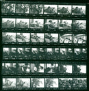 KODAK FILM SAFET SAFETY RODAR - Vintage Photograph