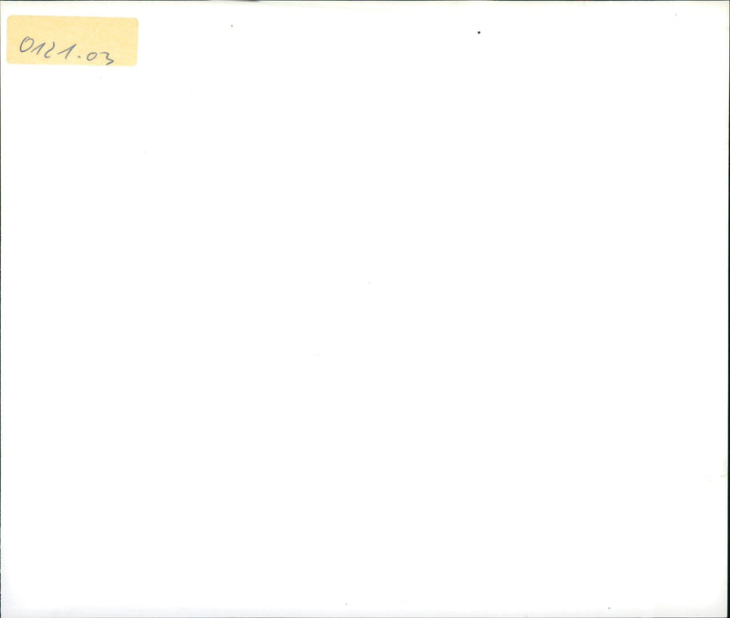 The Bee Gees - Vintage Photograph