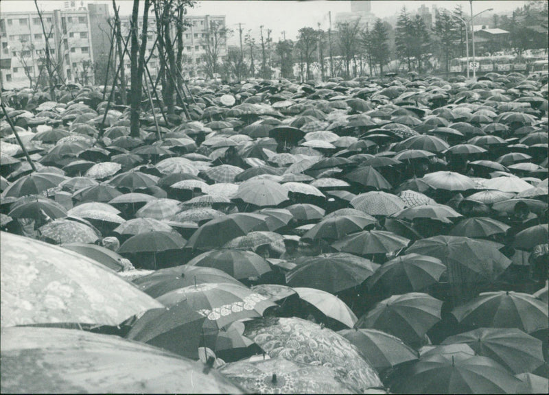 Olympische Spiele 1964 - Vintage Photograph