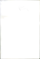 KODAK SAFETY FILM ODAK SAFE YELLOW - Vintage Photograph