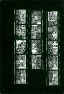 KODAK SAFETY FILM AFETYFILM SIWA PIGA ALSV - Vintage Photograph