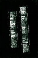 KODAK SAFETY FILM SAFETE - Vintage Photograph