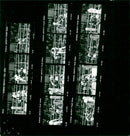 KODAK SAFETY FILM SOCO - Vintage Photograph