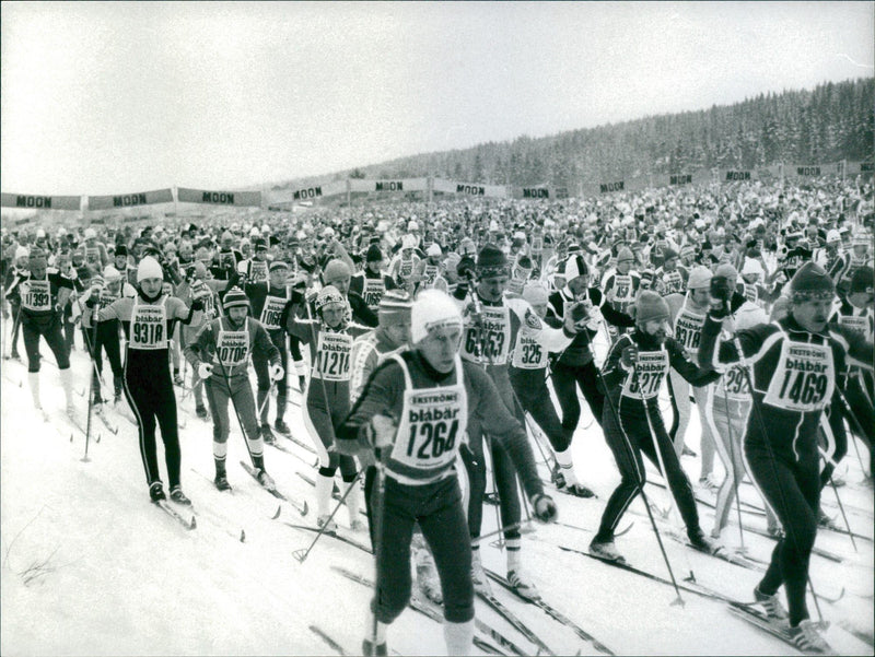 Vasaloppet 1981 - Vintage Photograph