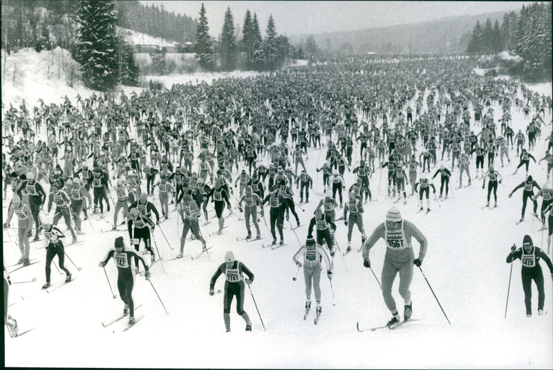 Vasaloppet 1981 - Vintage Photograph