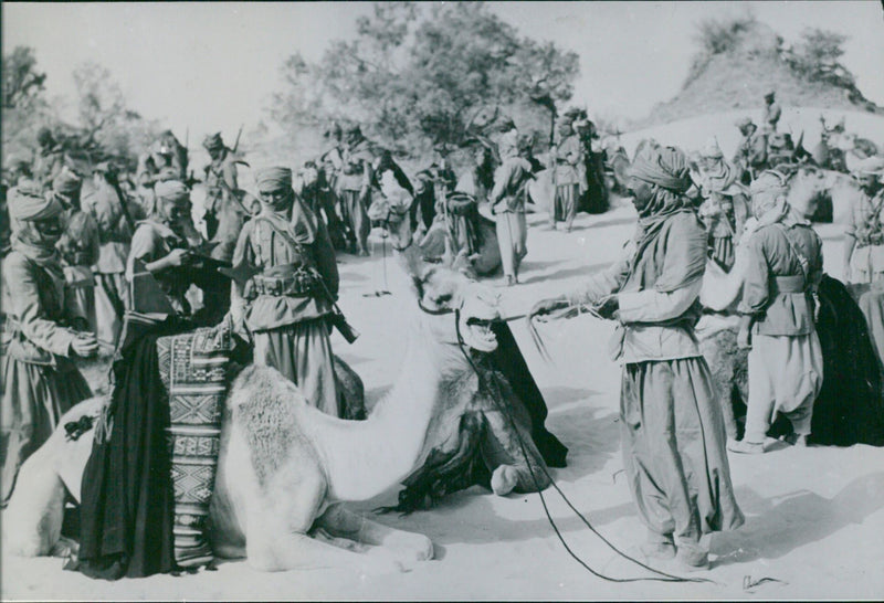 Camel riding troops in the Tripolitan desert - Vintage Photograph