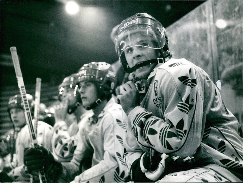 1985 BUT SSON SODERTALJE AFTER ONLY ANIMAL FINAL AND SVD - Vintage Photograph