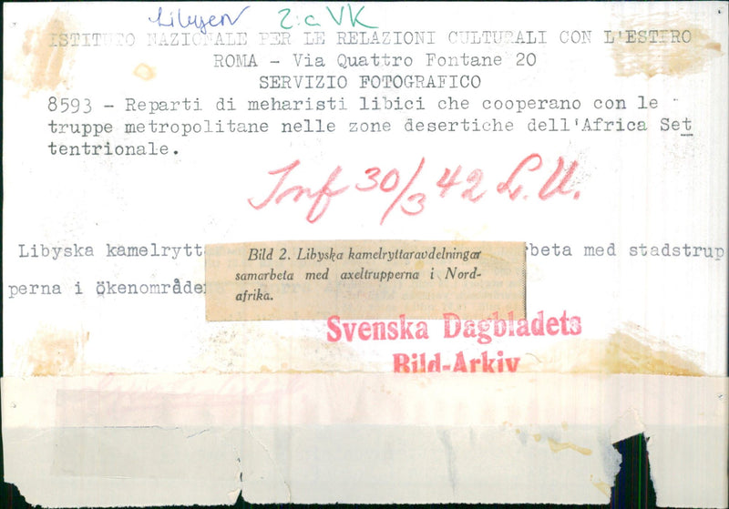 Libyan camel riders - Vintage Photograph