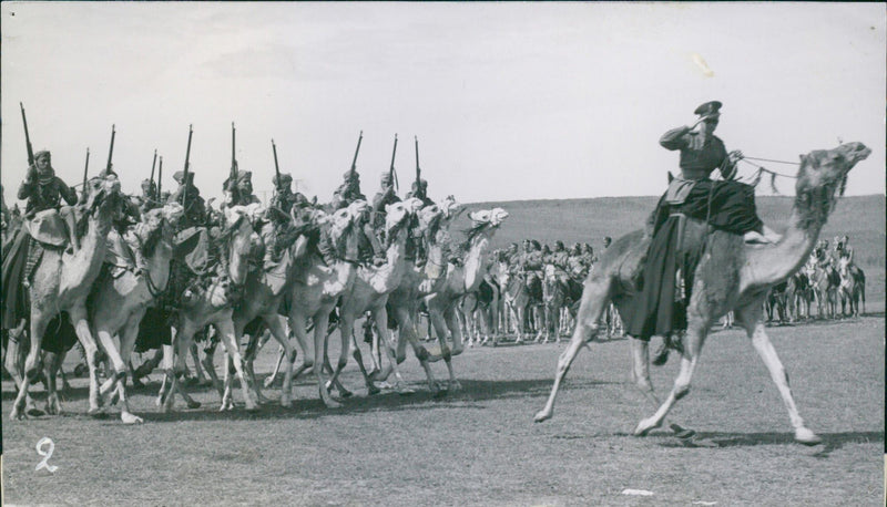 Libyan camel riders - Vintage Photograph