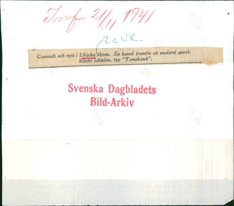 Camel Rider & American Fighter Tomahawk - Vintage Photograph