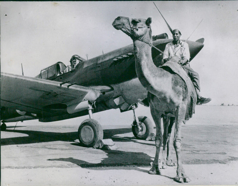Camel Rider & American Fighter Tomahawk - Vintage Photograph