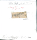 Brown bears. Miss Snuffi on her way to the den - Vintage Photograph