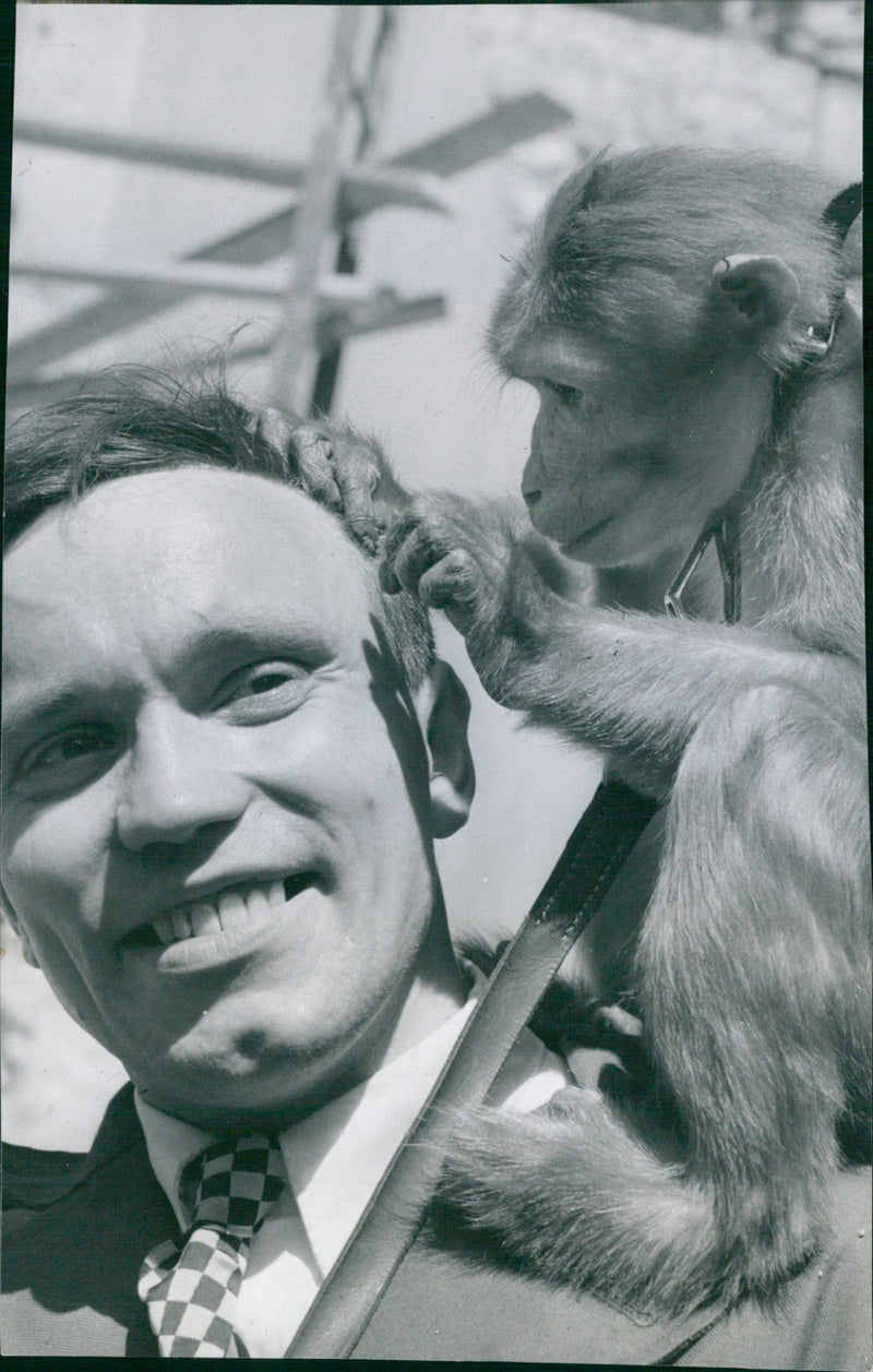 1954 KIND HARSTAMMANDE SWEDEN APTOID OSCAR PUT HELMUTH SOLLIDE - Vintage Photograph
