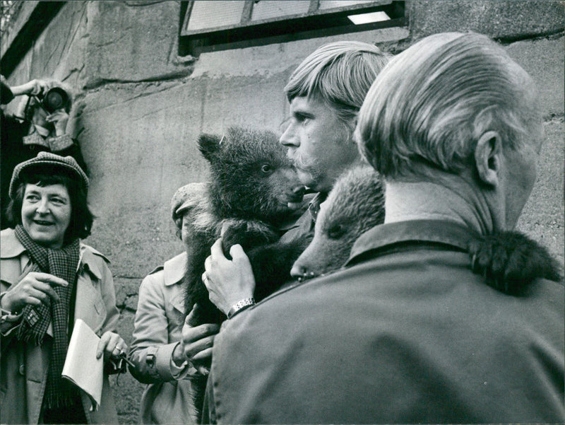 Animal keeper Anders Wiklund with bear cubs - Vintage Photograph