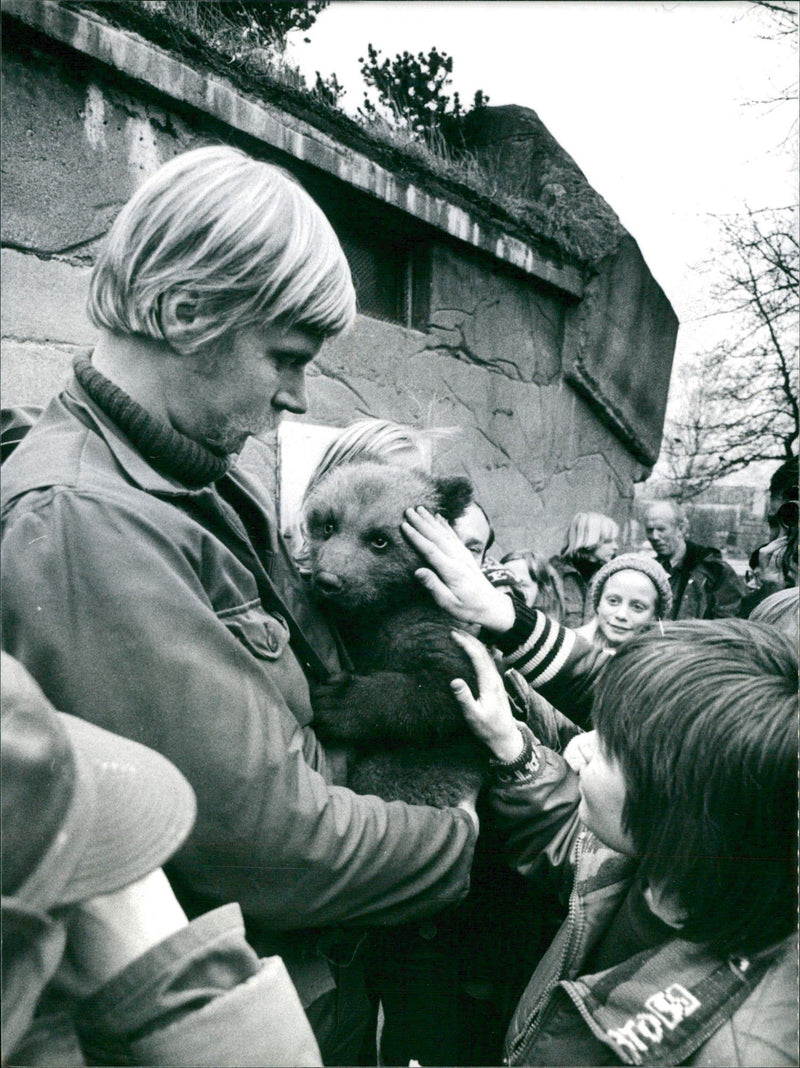 Animal keeper Anders Wiklund with bear cubs - Vintage Photograph