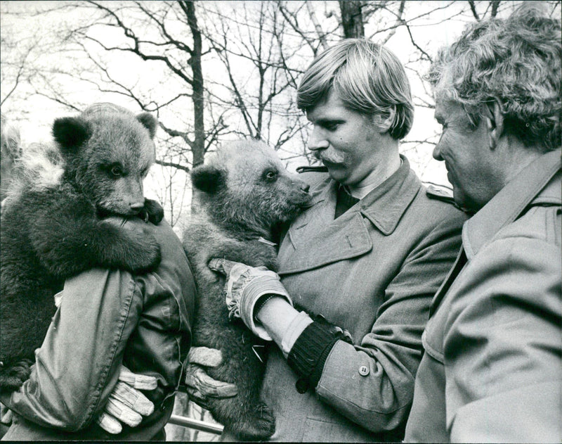 Animal keeper Anders Wiklund and two bear cubs - Vintage Photograph