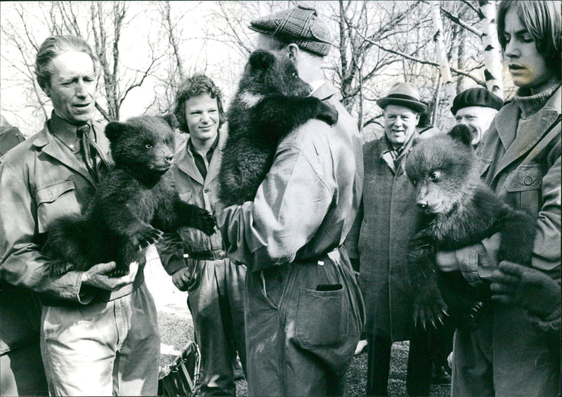Torsten Celvander, Tore Glemmefors and Anders Lindström show off the new bear cubs at Skansen - Vintage Photograph