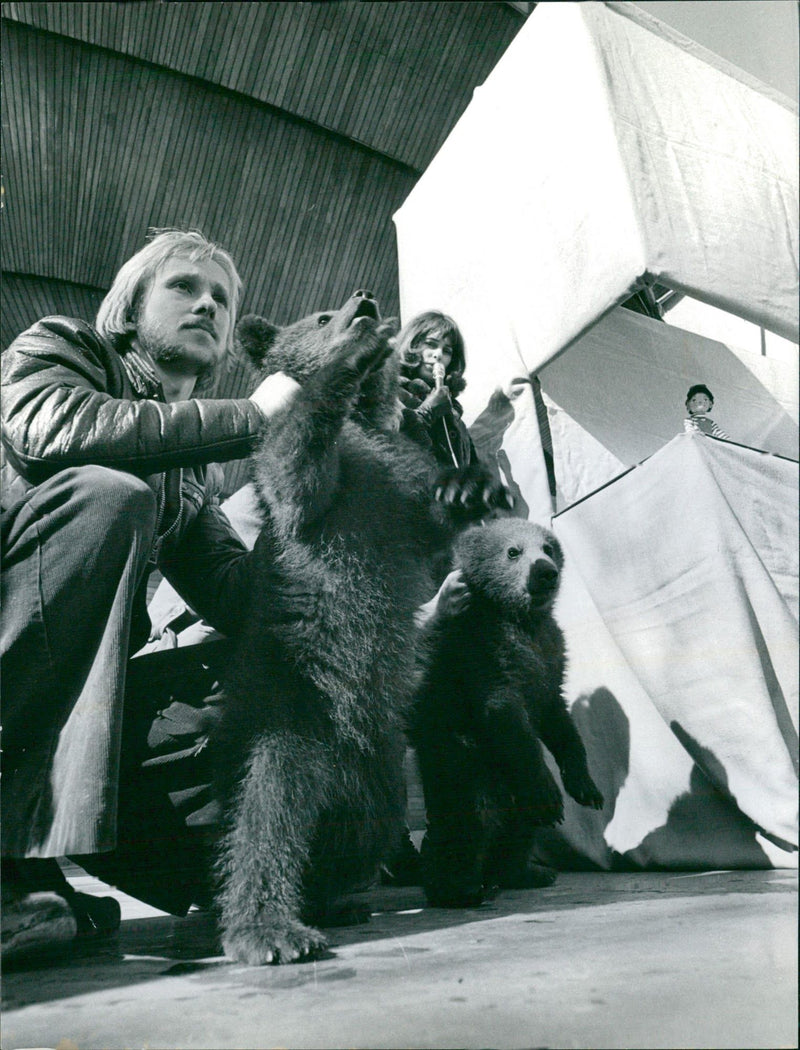 Leif Wicksell, animal keeper at Skansen, shows the new bear cubs to the audience - Vintage Photograph