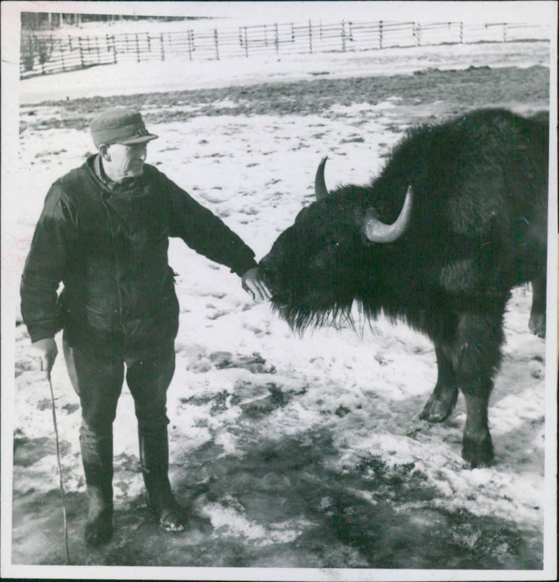 Bishop Bernhard with foreman Gustafsson - Vintage Photograph