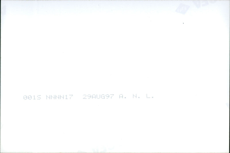 DERIK DICK CONCERT - Vintage Photograph