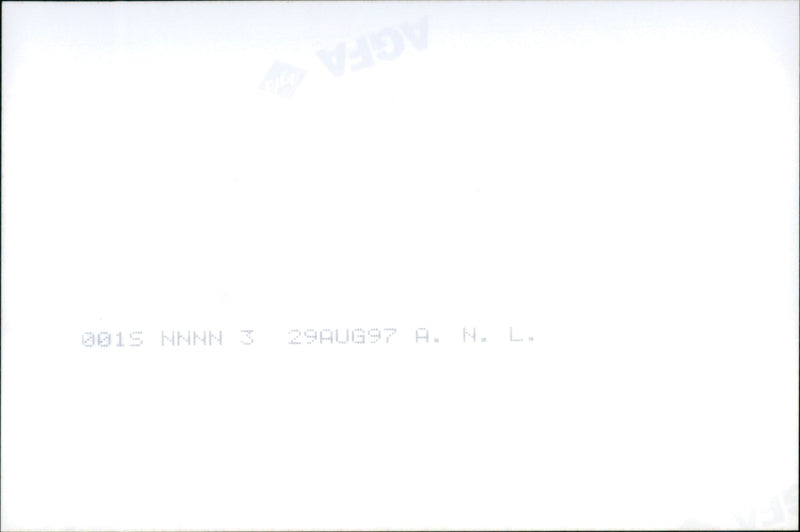 1997 DERIK DICK CONCERT - Vintage Photograph