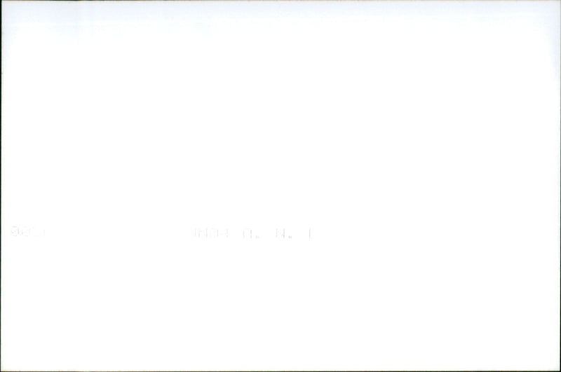 Alfa Romeo GT - Vintage Photograph