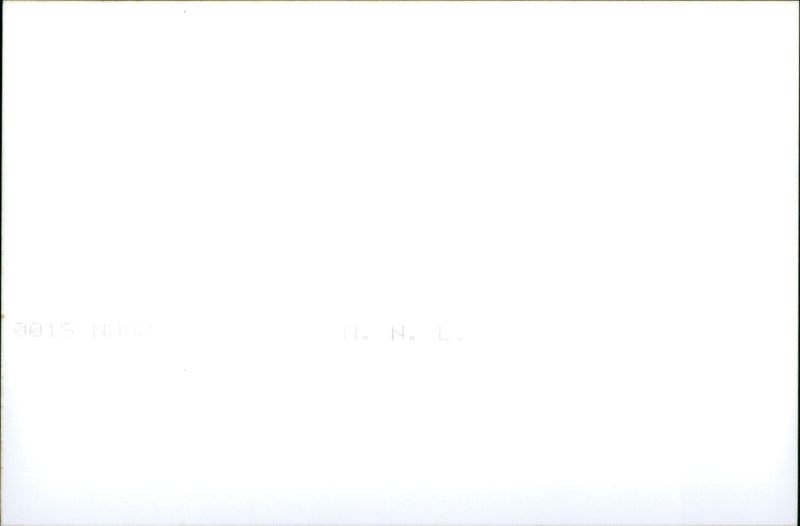 Bonsai - Vintage Photograph