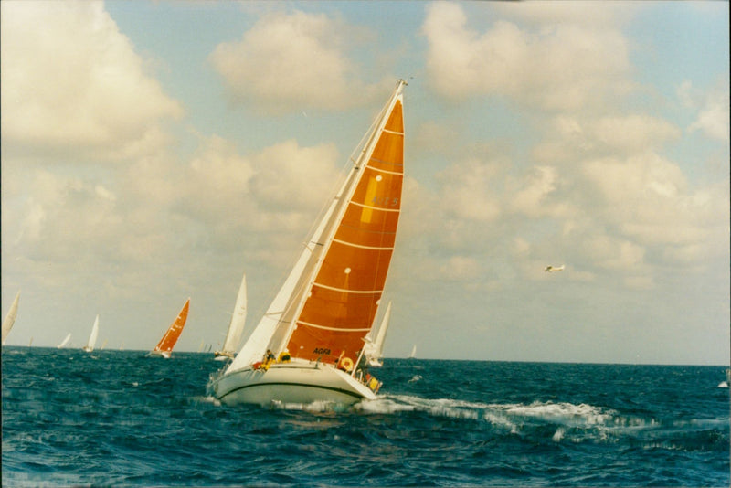 Rolex Middle Sea Race 2002 - Vintage Photograph