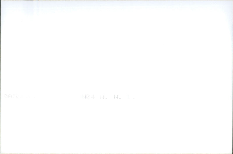 Alfa Romeo GT - Vintage Photograph