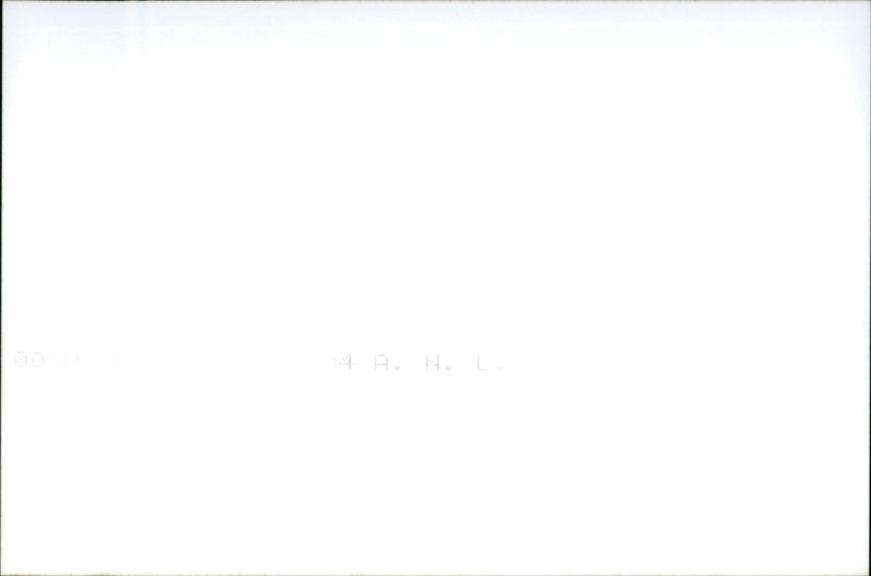 Alfa Romeo GT - Vintage Photograph