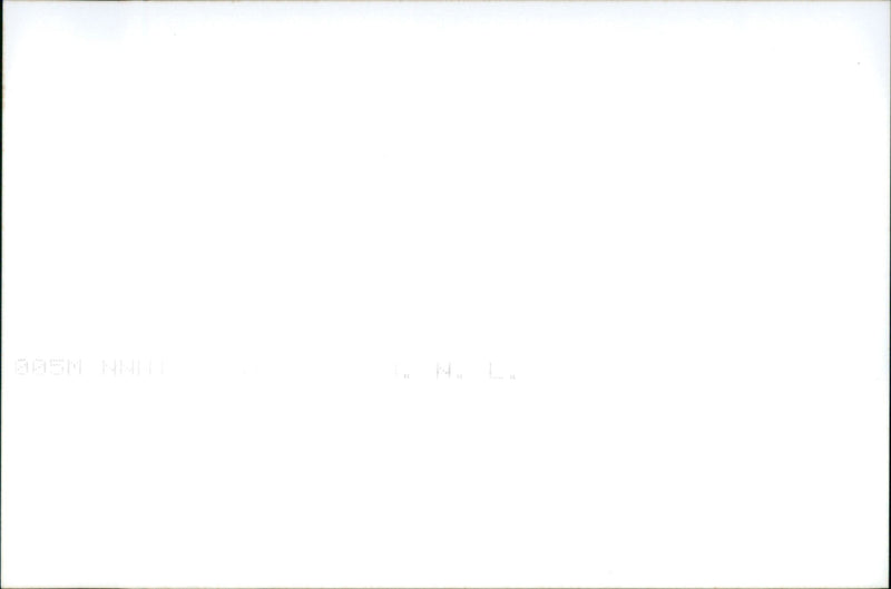 Alfa Romeo GT - Vintage Photograph