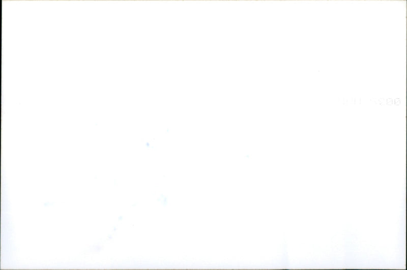 Rough Seas Restrict Military Exercise to Grand Harbour - Vintage Photograph