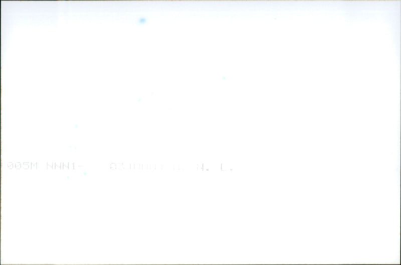 Alfa Romeo GT - Vintage Photograph