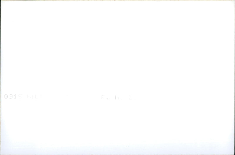 Bonsai - Vintage Photograph