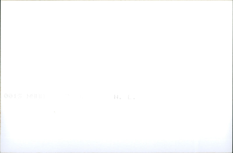 Bonsai - Vintage Photograph