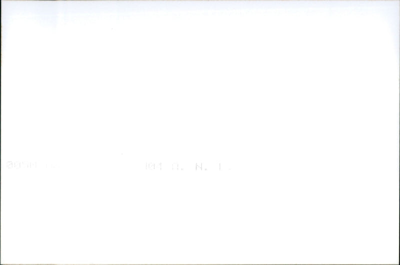 Alfa Romeo GT - Vintage Photograph