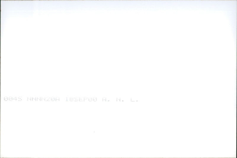 Alphonse Ferriggi Murder - Vintage Photograph