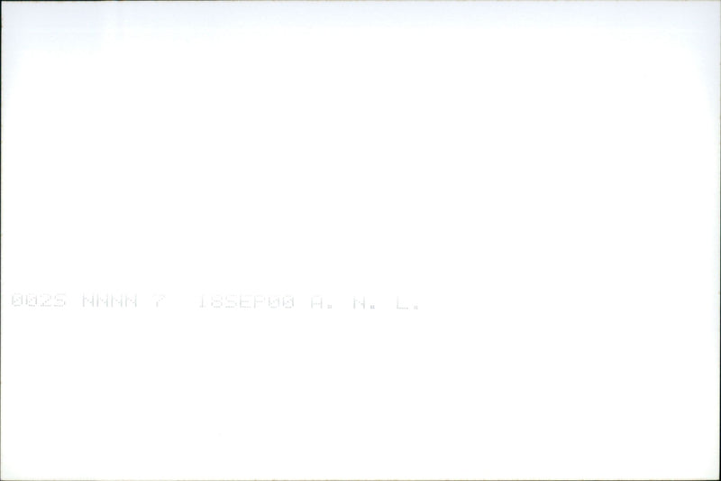 Alphonse Ferriggi Murder - Vintage Photograph