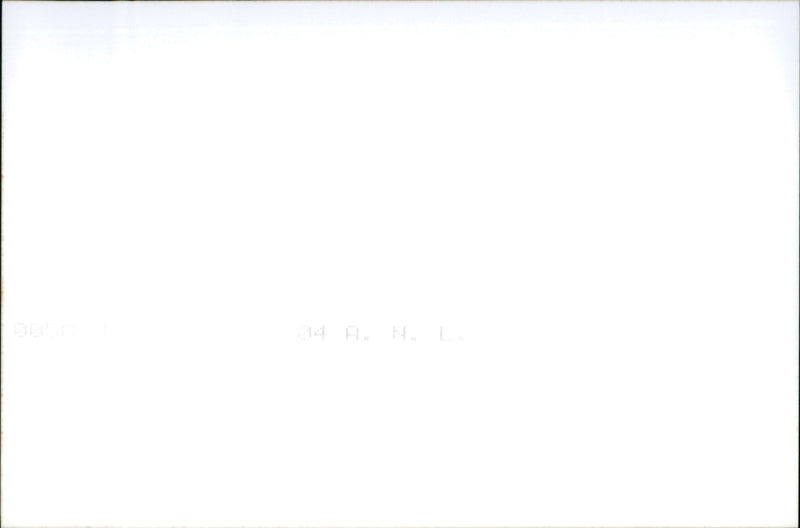 Alfa Romeo GT - Vintage Photograph