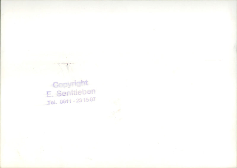 Zoo animals: elephant - Vintage Photograph