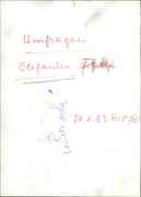 Zoo animals: female elephant - Vintage Photograph