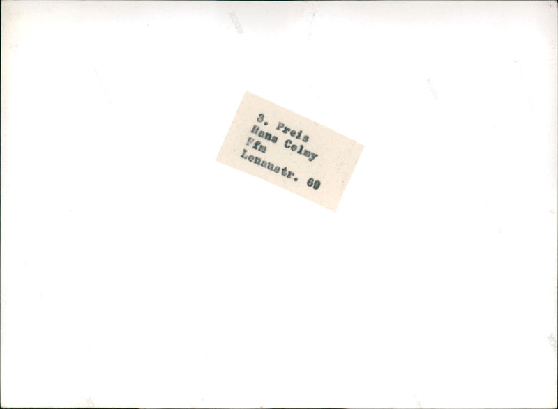 Zoo animals: elephant - Vintage Photograph