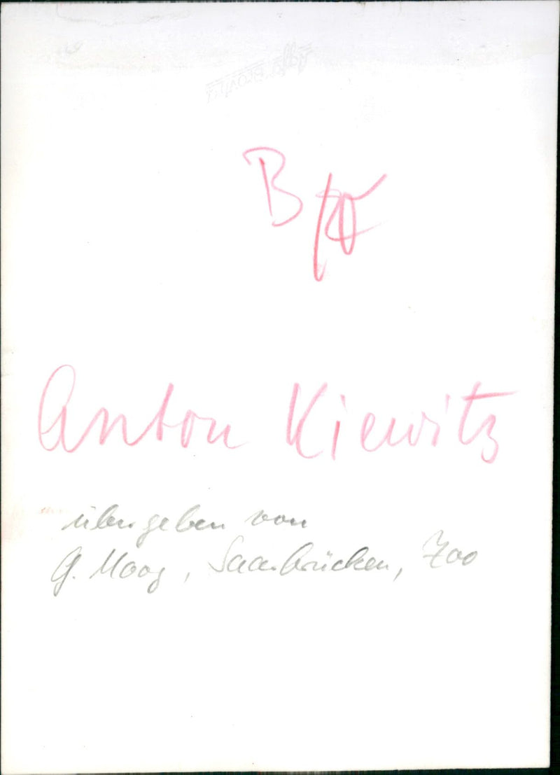 Zoo animals: elephant - Vintage Photograph