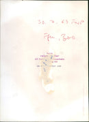 Zoo animals: elephants - Vintage Photograph