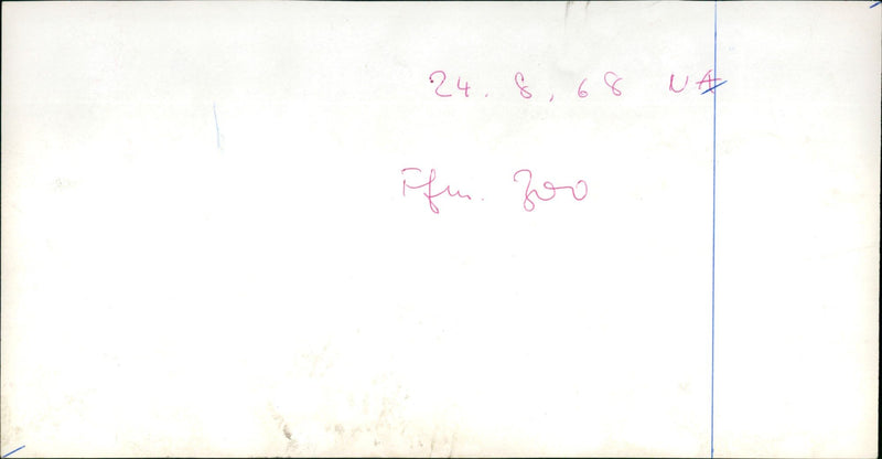 Zoo animals: elephants - Vintage Photograph